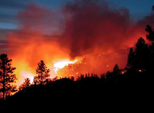 http://www.movimet.com/wp-content/uploads/2013/03/Incendio-Forestal-04.jpg